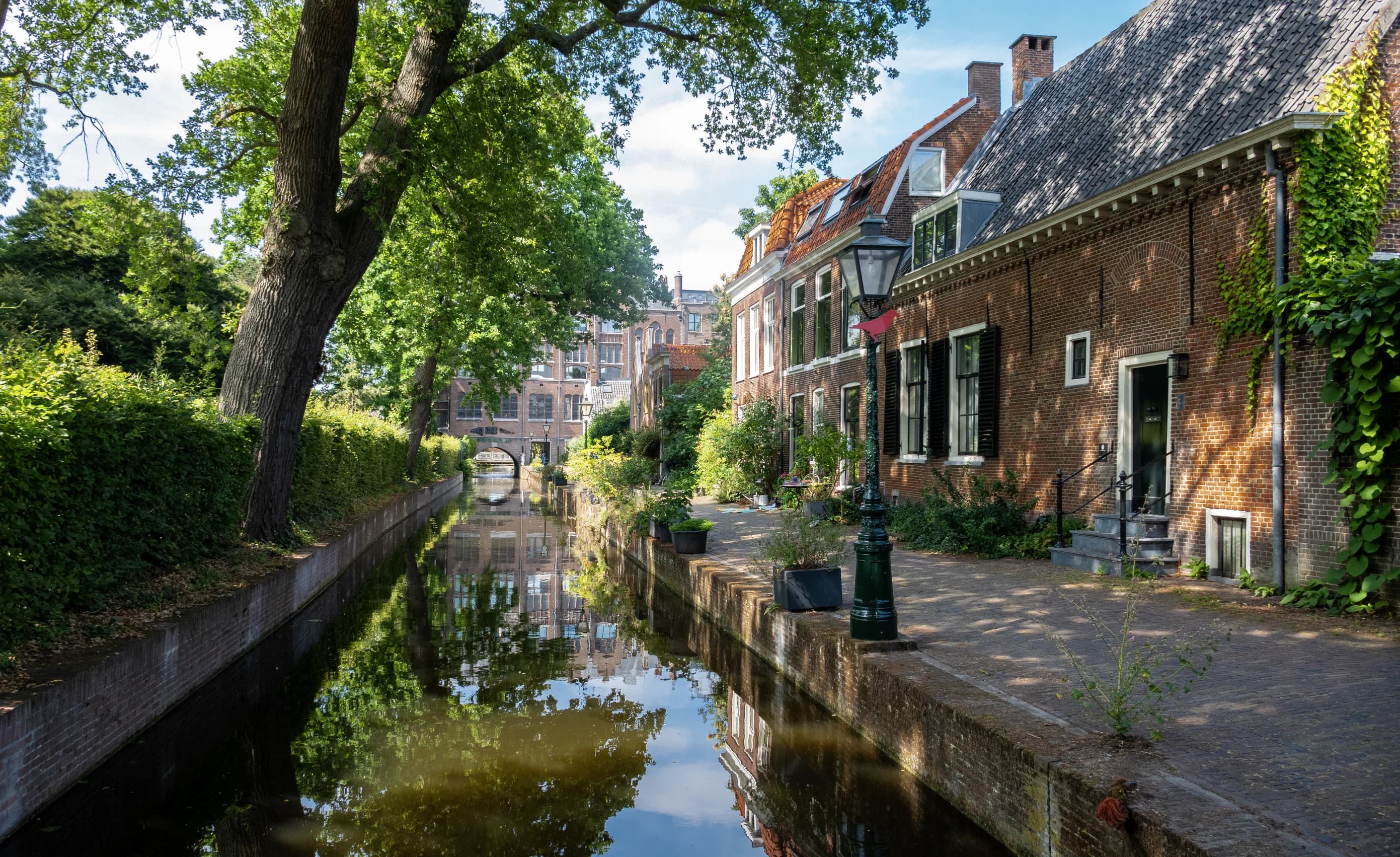 De omgeving